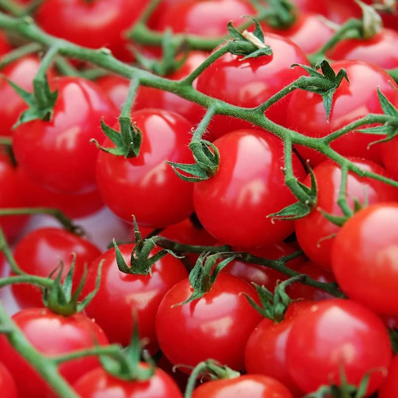 images/1683187228470cherry toamto sorting grading machine.jpg